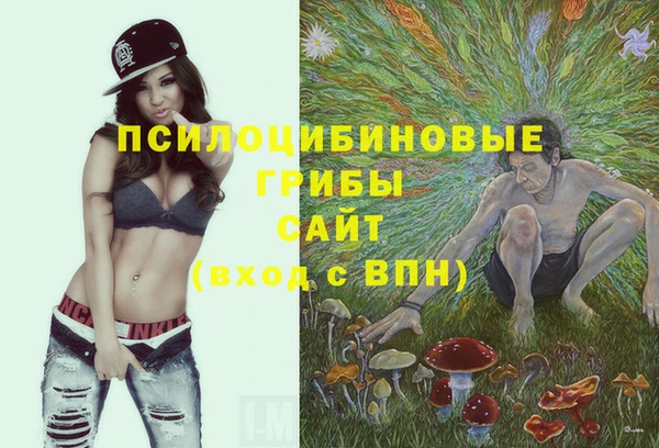 шишки Балахна